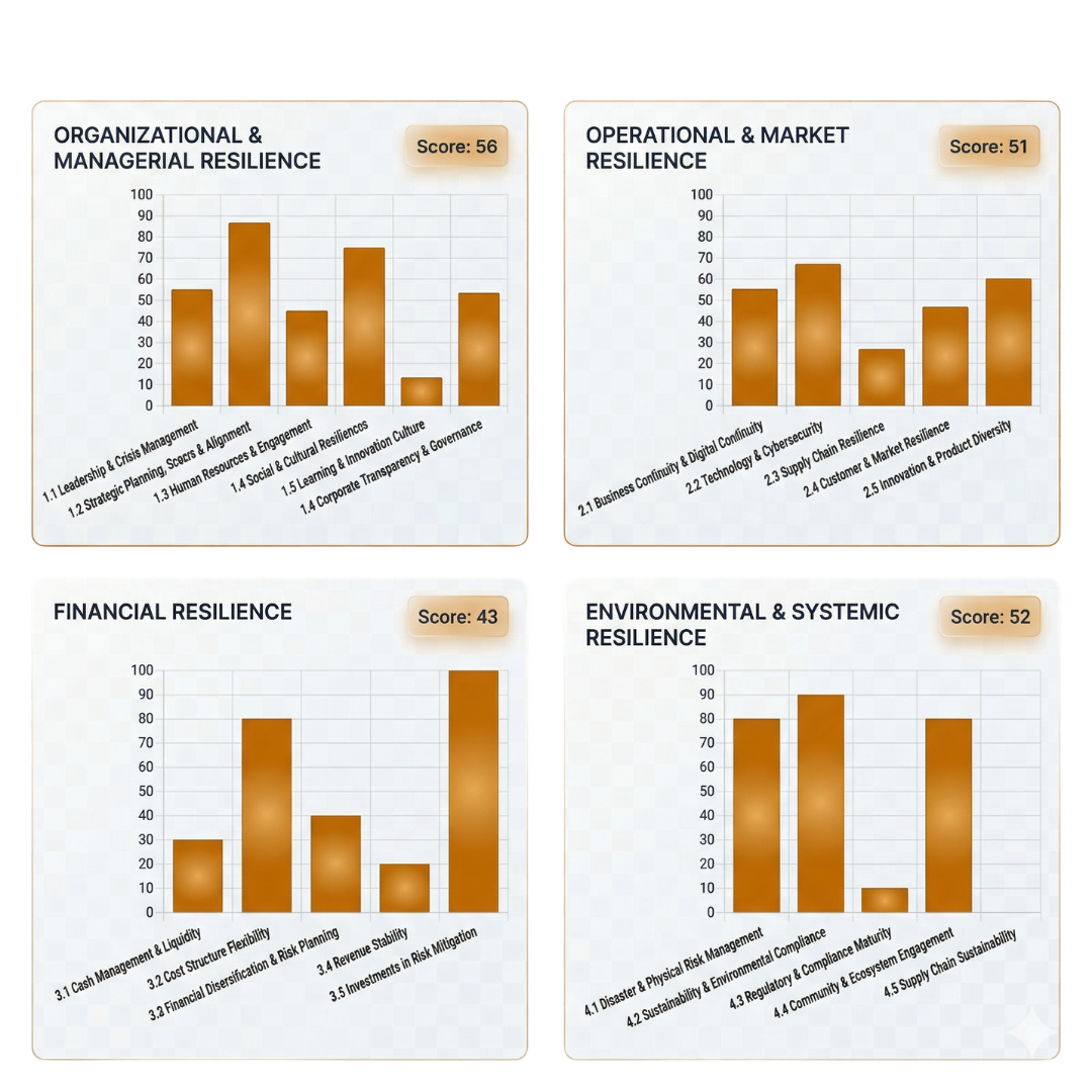Category based resilience analysis