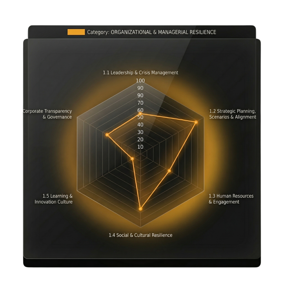 Resilience radar chart